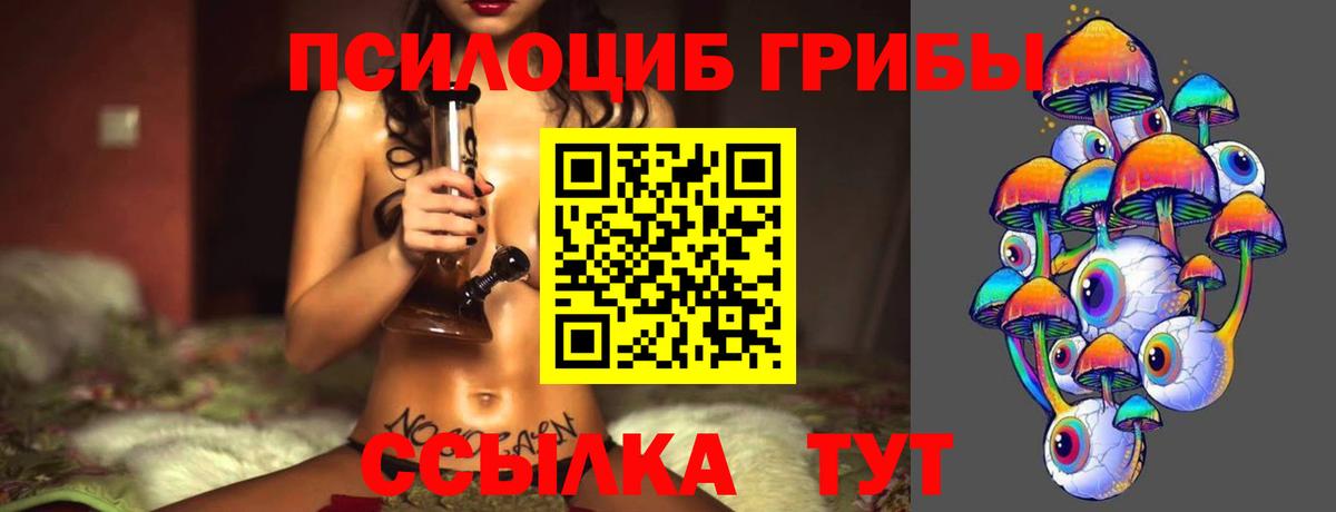 Ачхой-Мартан  Галлюциногенные грибы мицелий  Вход с VPN  Псилоцибиновые грибы Psilocybine cubensis 